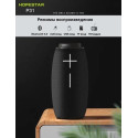 Портативна колонка Hopestar P31
