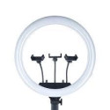 Лампа Led кільце M18S 45 см/8500K/LED дисплей/пульт