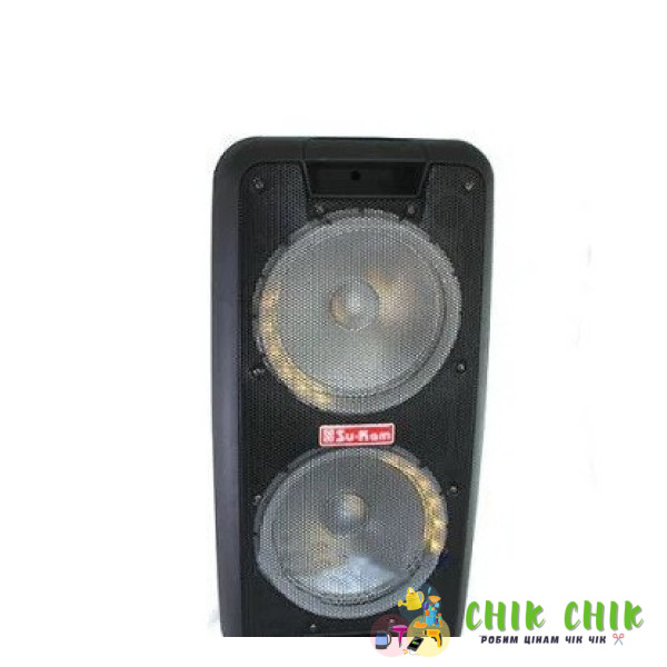 Портативна колонка Su-Kam 1010 2 мікрофони з BT 12v/220v