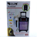 Радіо GOLONE RX-2900BT