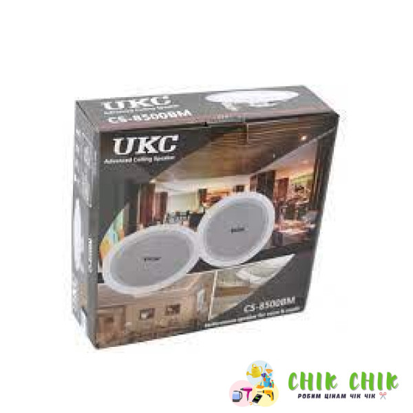 Стельові динаміки (колонки) CS 8500