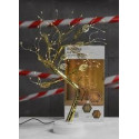 Настільна лампа дерево Berger TreeLight Gold