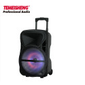 Акустична колонка Temeisheng A12-12 один мікрофон, 12